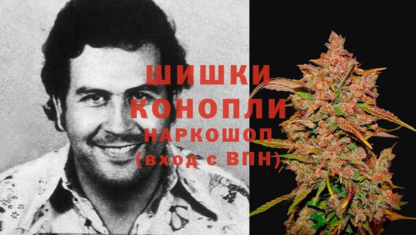 соль ск Медвежьегорск