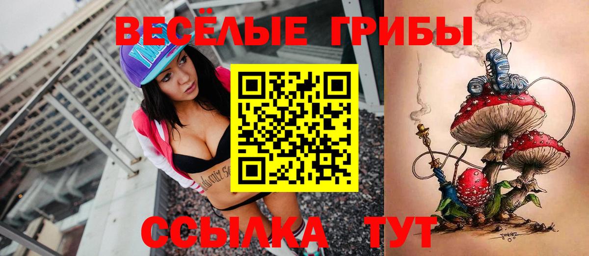 закладка  Галлюциногенные грибы мухоморы  Вход с VPN  Иваново 